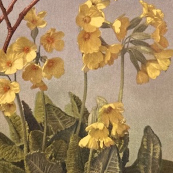 Happy Poshing! - Picture 15 of 16